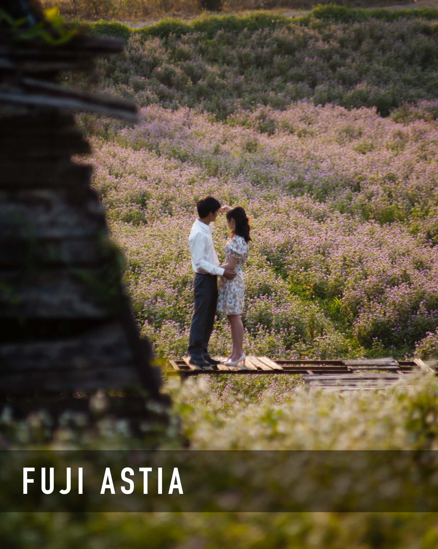 Fuji Astia Preset Pack